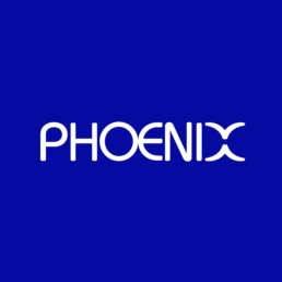 Avis Client Phoenix